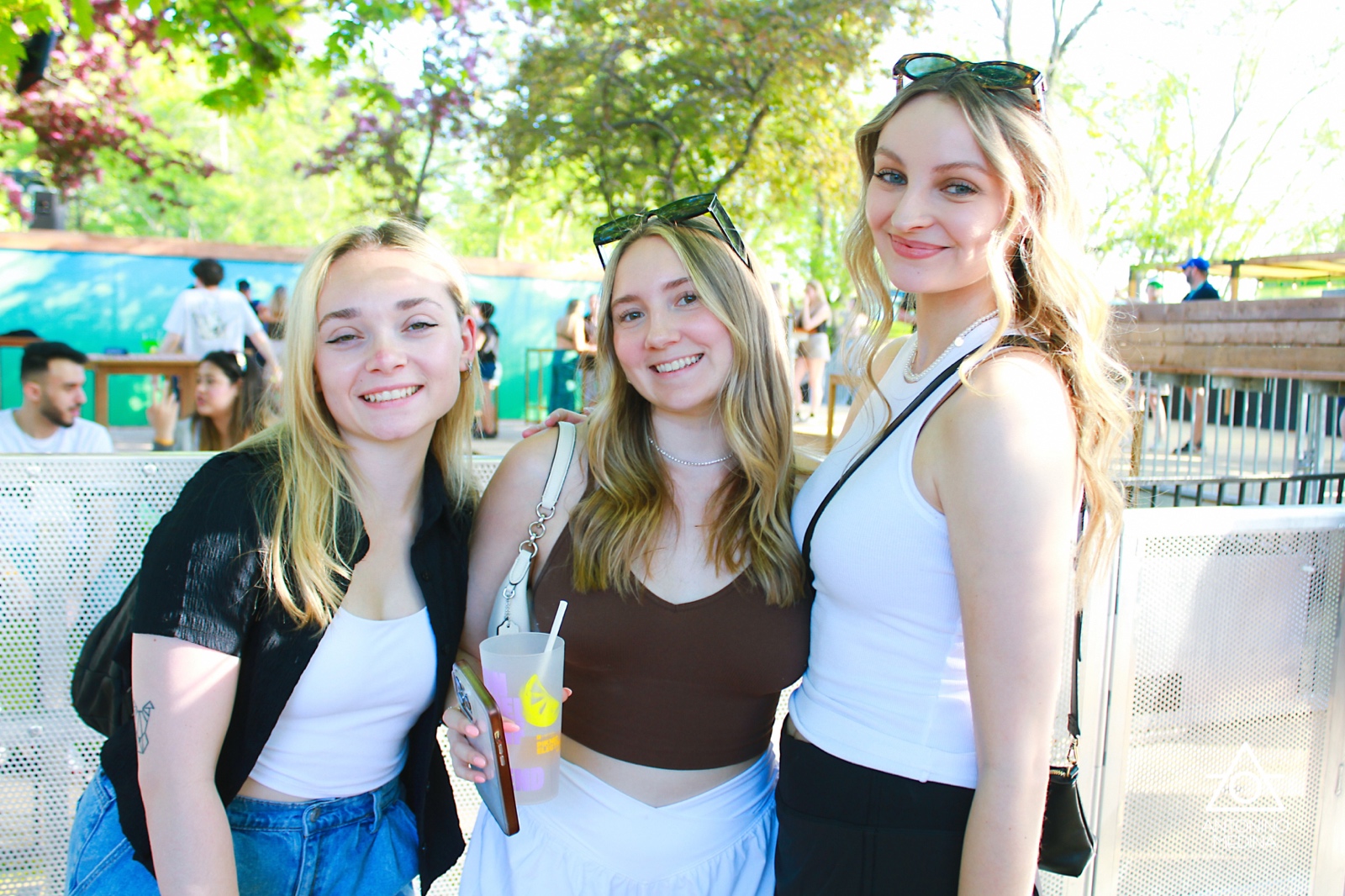 12 IMG 1893